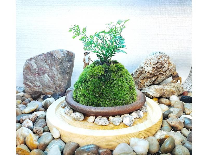 【新宿☆苔で彩る空間】ガラスドームで飾る☆お洒落苔玉 (創作体験)の紹介画像