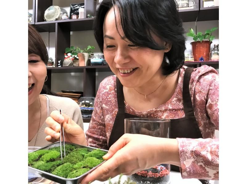 [东京新宿]用天然苔藓装饰房间☆时尚的玻璃（木炭和天然石材）苔藓球の紹介画像