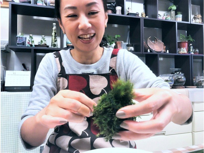 [东京新宿]用天然苔藓装饰房间☆时尚的玻璃（木炭和天然石材）苔藓球の紹介画像