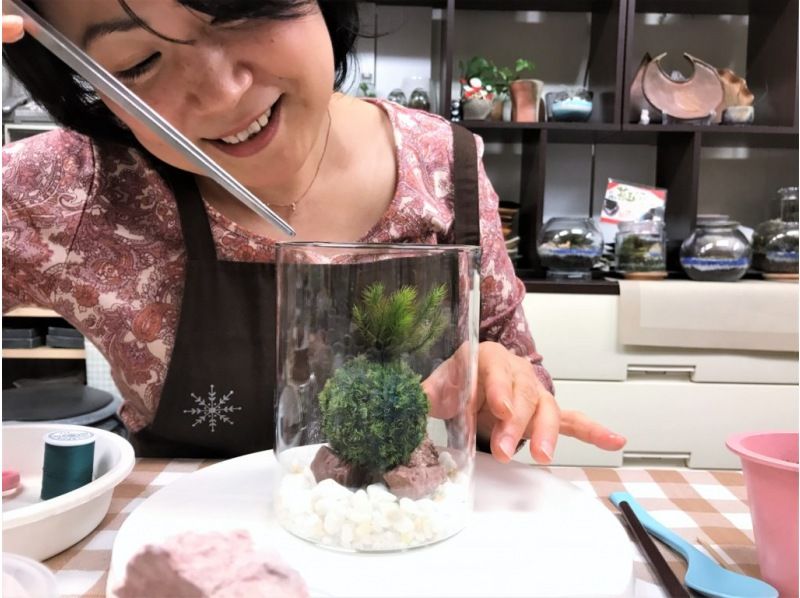 [Tokyo Shinjuku] Decorate your room with natural moss ☆ Stylish glass (charcoal and natural stone) moss ballの紹介画像