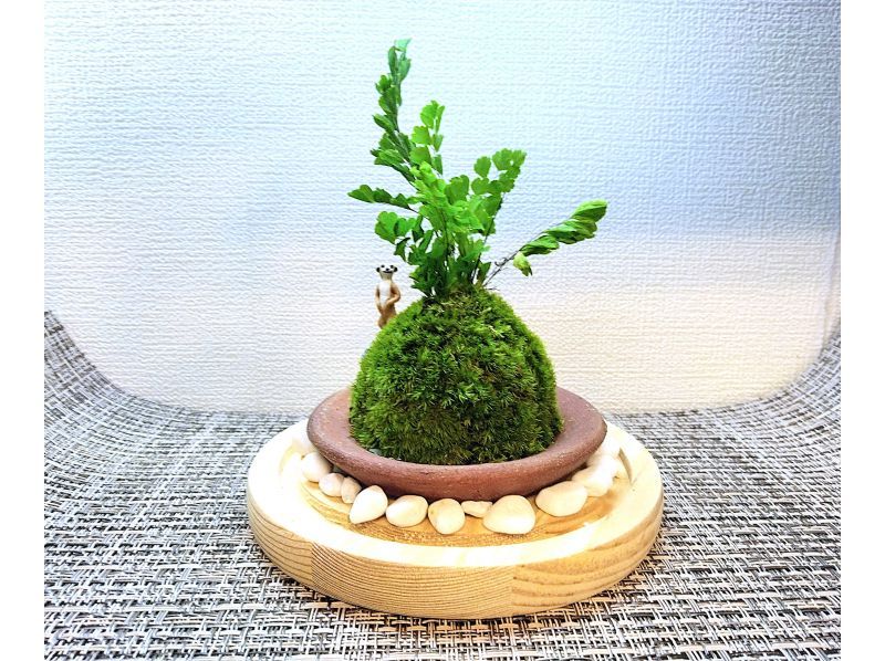 【新宿☆苔で彩る空間】ガラスドームで飾る☆お洒落苔玉 (創作体験)の紹介画像