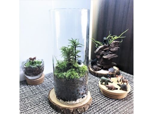 【新宿☆かわいい苔玉】天然苔をお部屋に飾る⭐お洒落なグラス苔玉 「夜間クラスも開講中」