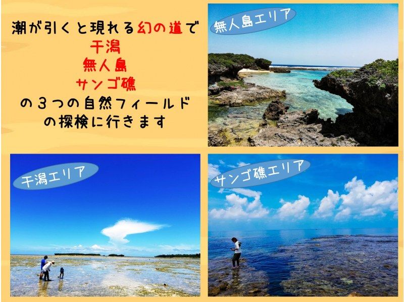 [Okinawa Kume Island] at low tide only emerge walk the "phantom of the road"! Trekking tourの紹介画像