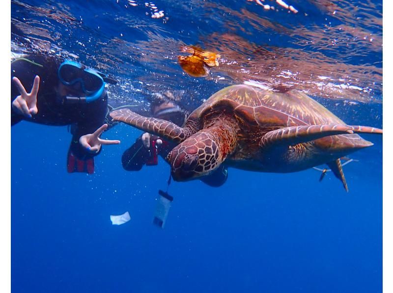 [Okinawa, Ishigaki Island] Sea turtle snorkeling, Nemo and star sand search, blue cave exploration and waterfall play AM (8:00 AM) / PM (1:00 PM) half-day tour (with transfer)の紹介画像