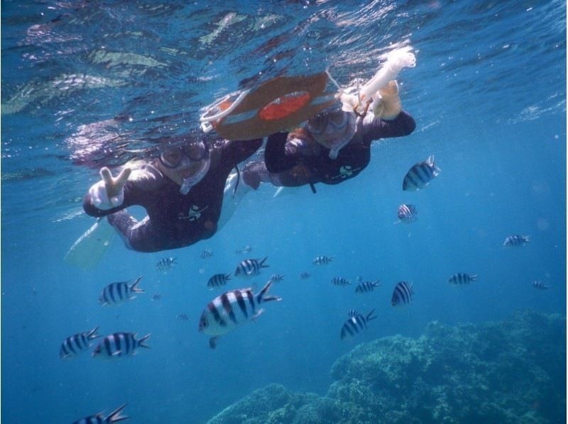 【沖繩/石垣島】海龜浮潛、海底總動員&星沙搜尋、藍洞探險&瀑布遊玩上午（8點）/下午（13點）半日遊（含接送）の紹介画像