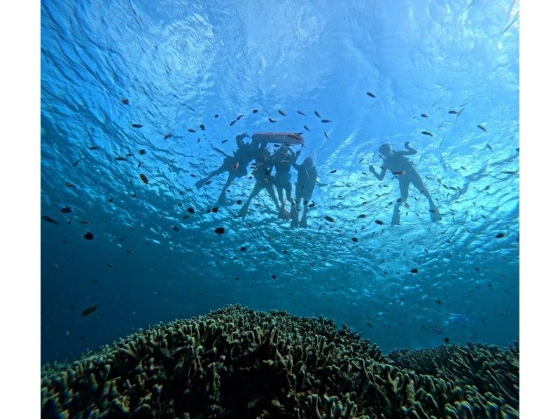 ★Super Summer Sale 2024★Swim with sea turtles】【1 day】Phantom island landing & coral reef premium snorkeling & sea turtle snorkeling【Photo gift】の紹介画像