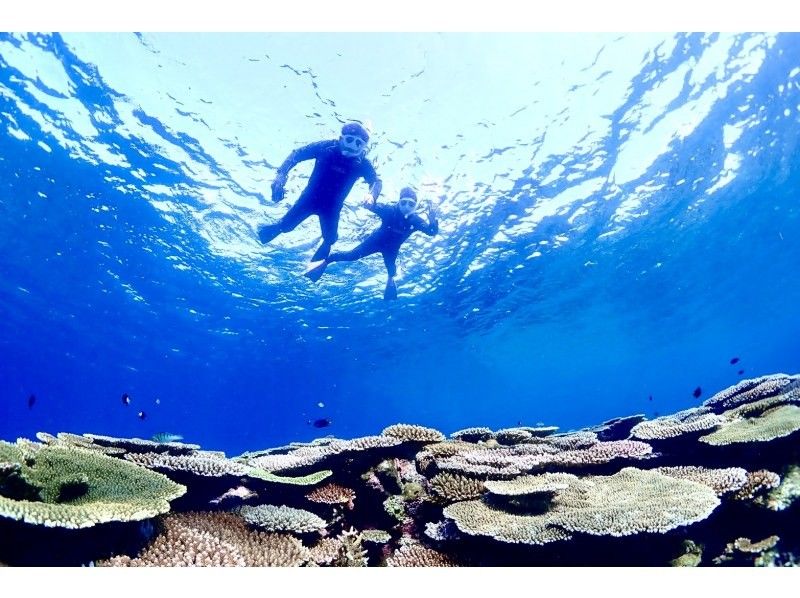 [Okinawa/Ishigaki] Phantom Island Landing & Coral Reef & Sea Turtle Snorkeling [Photo Gift]