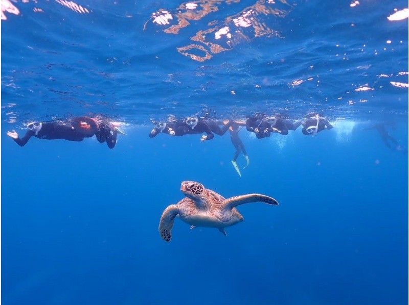 【完全初心者専門】幻の島上陸&times;石西礁湖｜ウミガメシュノーケリング｜石垣島7時間〈写真無料〉の紹介画像