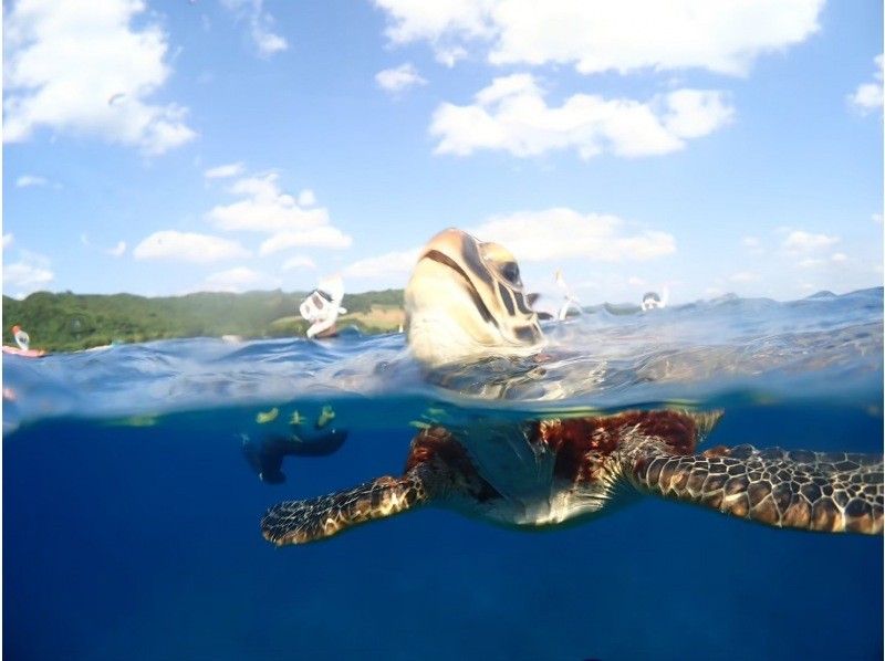 【完全初心者専門】幻の島上陸&times;石西礁湖｜ウミガメシュノーケリング｜石垣島7時間〈写真無料〉の紹介画像