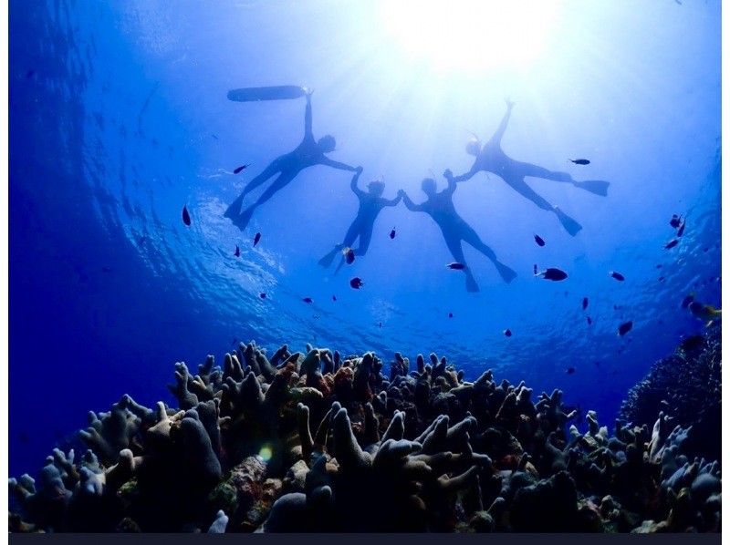 【初學者限定】【接受臨時預約】在清澈的海水中浮潛！登陸幻島＆石清潟湖浮潛【3小時】最適合與觀光結合の紹介画像