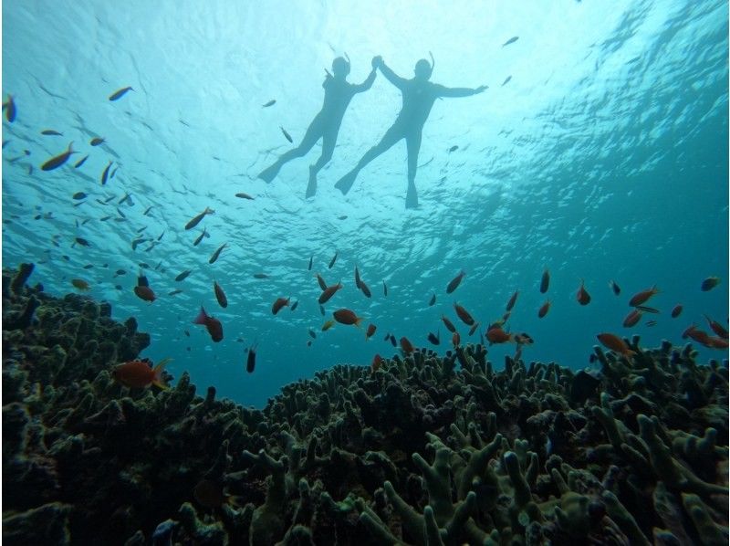 【初學者限定】【接受臨時預約】在清澈的海水中浮潛！登陸幻島＆石清潟湖浮潛【3小時】最適合與觀光結合の紹介画像