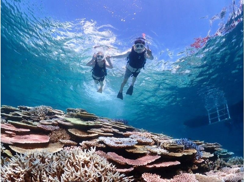 [Last minute reservations OK] Snorkeling in crystal clear waters! Landing on a phantom island and snorkeling in Sekisei Lagoon [half day] Perfect for combining with sightseeingの紹介画像