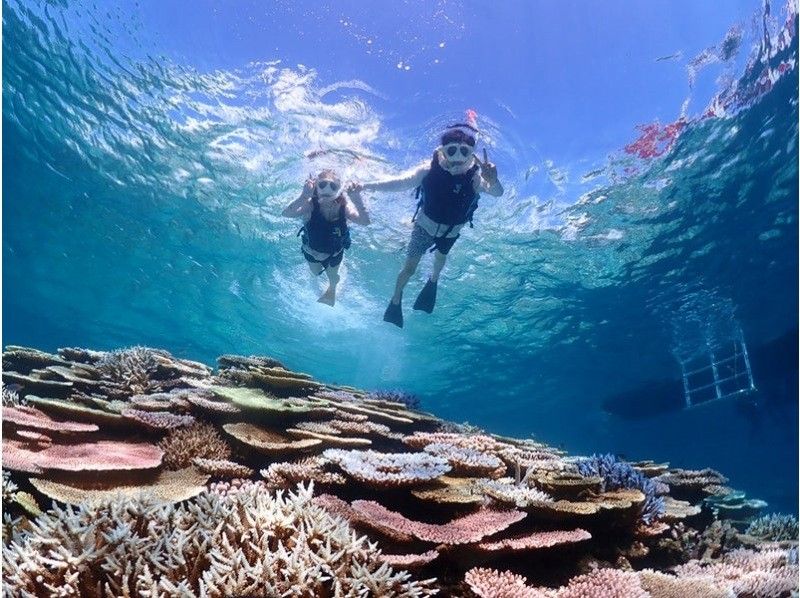 【初學者限定】【接受臨時預約】在清澈的海水中浮潛！登陸幻島＆石清潟湖浮潛【3小時】最適合與觀光結合の紹介画像