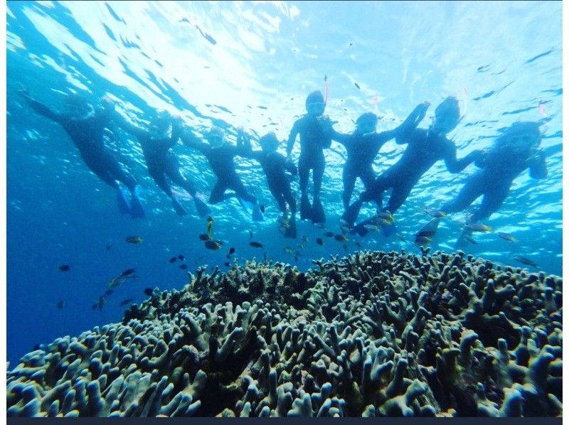 【初學者限定】【接受臨時預約】在清澈的海水中浮潛！登陸幻島＆石清潟湖浮潛【3小時】最適合與觀光結合の紹介画像