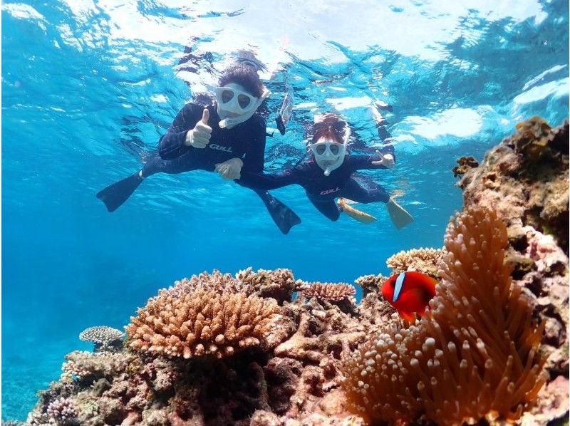 【初心者専門店】【直前予約OK】透明度抜群の海でシュノーケリング！幻の島上陸＆石西礁湖シュノーケリング【3時間】観光と組み合わせに最適の紹介画像