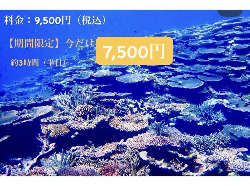 【完全初心者専門｜直前予約OK】幻の島上陸&times;石西礁湖サンゴ礁シュノーケリング｜石垣島3時間｜期間限定価格ありの紹介画像