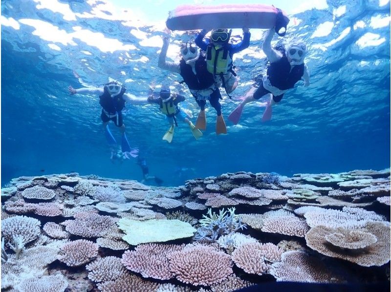 【初心者専門店】【直前予約OK】透明度抜群の海でシュノーケリング！幻の島上陸＆石西礁湖シュノーケリング【3時間】観光と組み合わせに最適の紹介画像