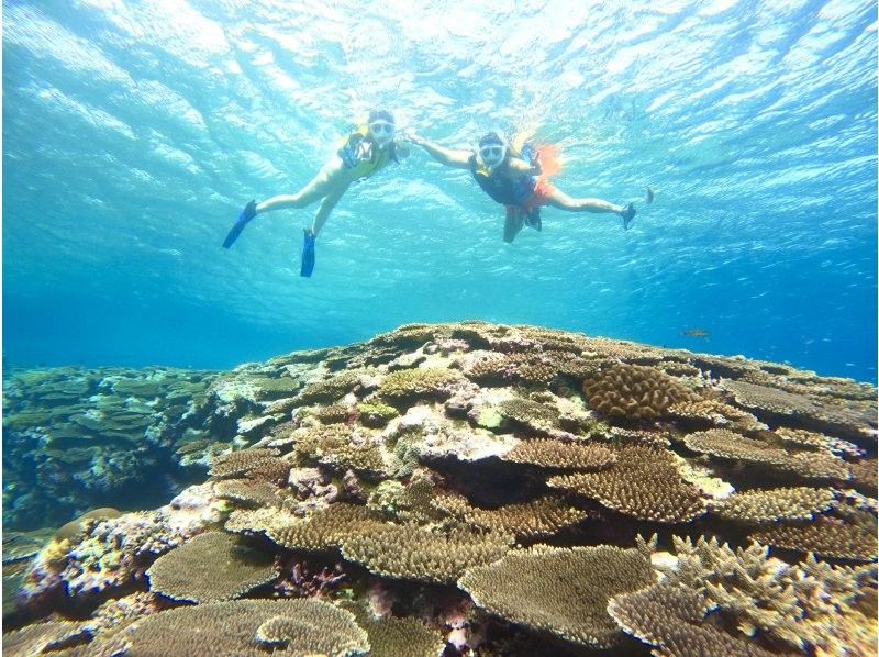 【完全初心者専門｜直前予約OK】幻の島上陸&times;石西礁湖サンゴ礁シュノーケリング｜石垣島3時間｜期間限定価格ありの紹介画像