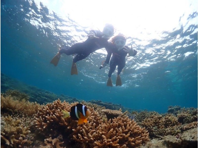 【初心者専門店】【直前予約OK】透明度抜群の海でシュノーケリング！幻の島上陸＆石西礁湖シュノーケリング【3時間】観光と組み合わせに最適の紹介画像
