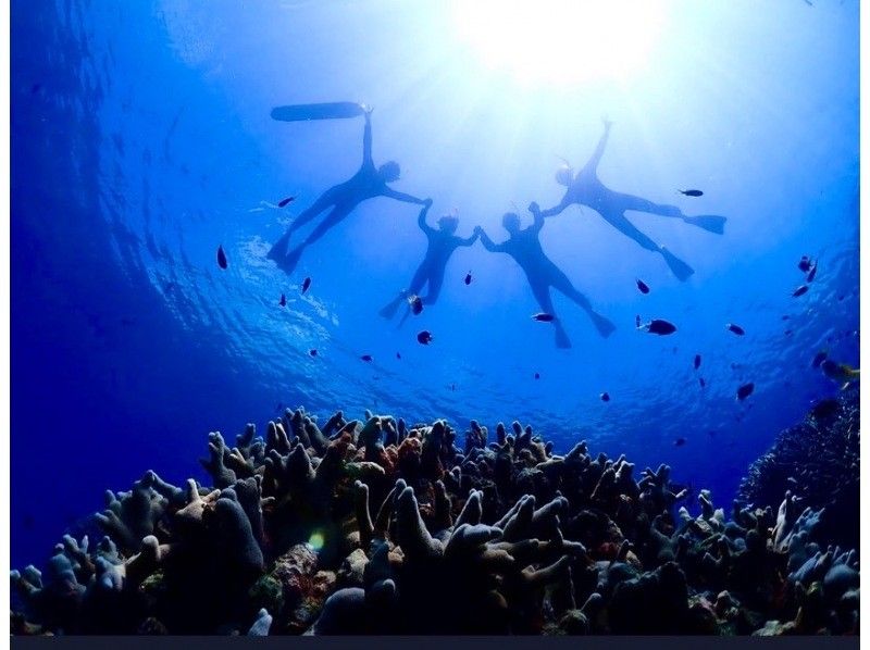 【初心者専門店】【直前予約OK】透明度抜群の海でシュノーケリング！幻の島上陸＆石西礁湖シュノーケリング【3時間】観光と組み合わせに最適の紹介画像