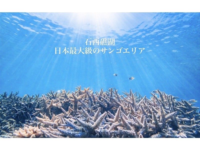 【女子旅人気】幻の島マーメイドフォト体験｜写真付き半日|石垣島の紹介画像