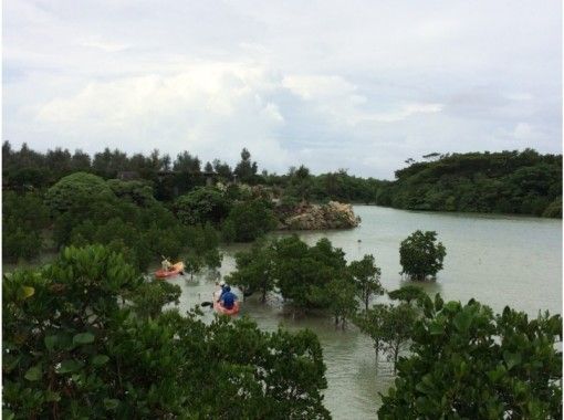沖縄県 宮古島 伊良部島 地域共通クーポン対象 プライベートディナー 絶景露天風呂つき シーカヤック サンセットツアー アクティビティジャパン 沖縄県 宮古島 伊良部島 地域共通クーポン対象 プライベートディナー 絶景露天風呂つき シーカヤック サンセットツアー アクティビティジャパン