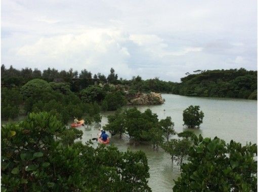 沖縄県 宮古島 伊良部島 地域共通クーポン対象 プライベートディナー 絶景露天風呂つき シーカヤック サンセットツアー アクティビティジャパン