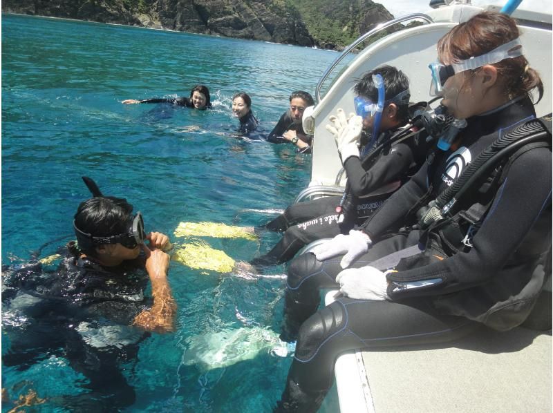 【沖縄・慶良間諸島】（国立公園慶良間諸島・那覇発・一日3か所周遊】大型クルーズ船をチャーターしてワンランク上の遊び方！の紹介画像