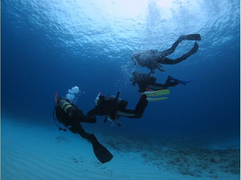 【 鹿儿岛 ·Okinoerabujima】有趣的深潜 2船，充分享受未开发的大海の紹介画像