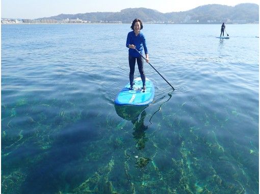 湘南 逗子 初めての方お勧め 早朝supクルージング 土日祝日限定 アクティビティジャパン