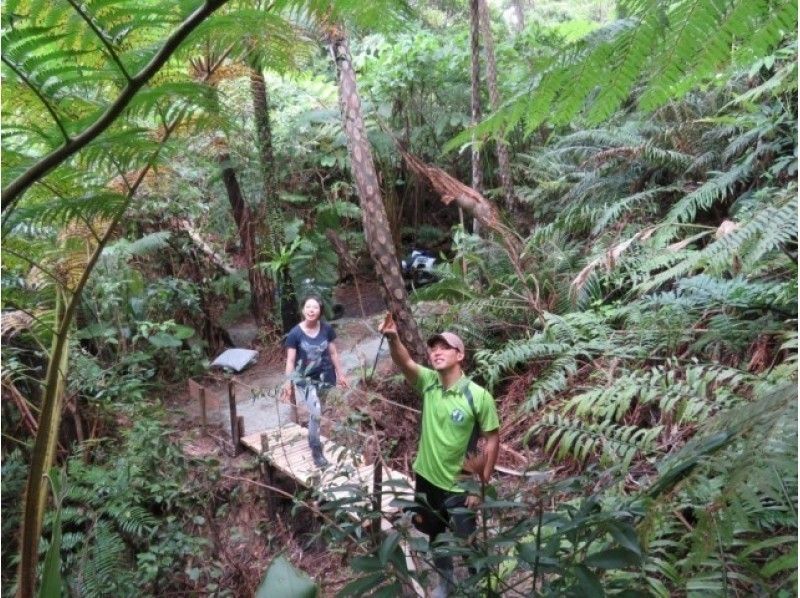 沖繩展開的壯麗自然「山原」是怎麼樣的？