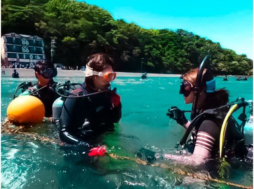 神奈川県のダイビングライセンス取得の予約 日本旅行 オプショナルツアー アクティビティ 遊びの体験予約