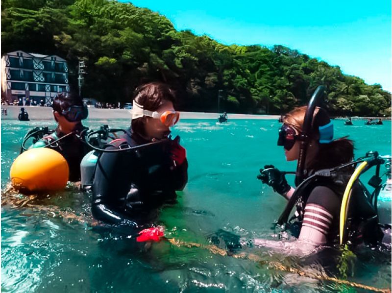 [카나가와·요쿄하마]다이빙라이센스 취득에서 세계의 바다로! BSAC 오션 다이버 코스の紹介画像