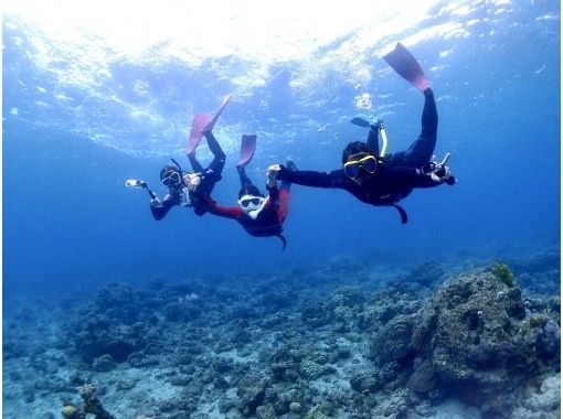 神奈川・横浜】ダイビングライセンス取得で世界中の海へ！BSAC