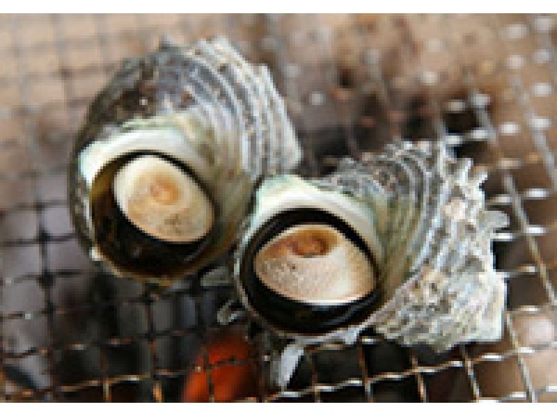 [Triple-Ise] barbecue empty-handed! Freshly caught the Ise-Shima production [Seafood set of 5]の紹介画像