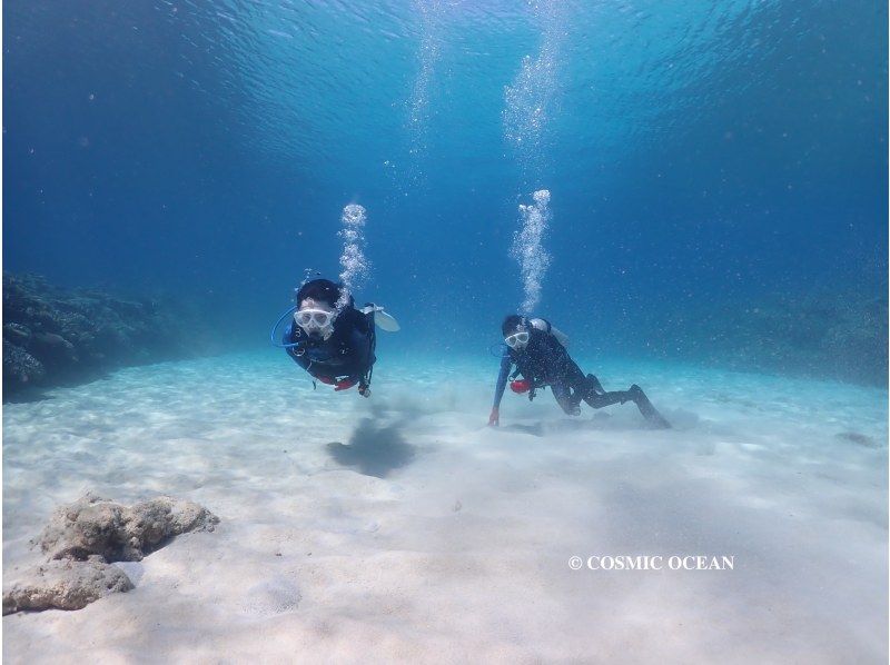 [冲绳北大猩猩印章海滩体验深潜透明度极佳冲绳美丽的经验深潜！初学者欢迎の紹介画像