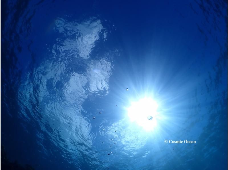 [沖縄北大猩猩印章海灘體驗深潛透明度極佳沖縄美麗的經驗深潛！初學者歡迎の紹介画像