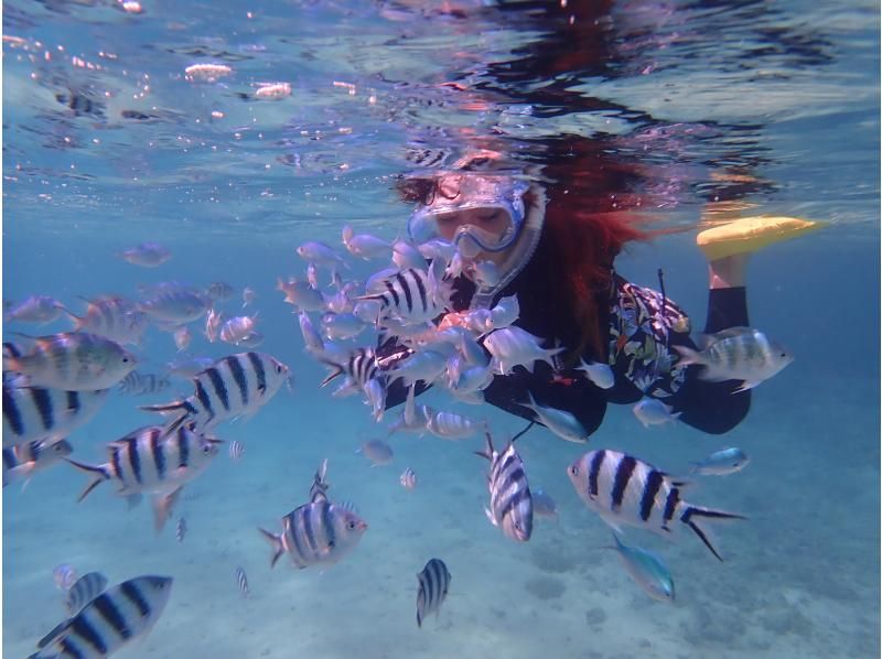 [오키나와북부 스킨다이빙/ 素潜り] 구명 조끼 착용스노클링그럼 아쉬운 당신에게!の紹介画像
