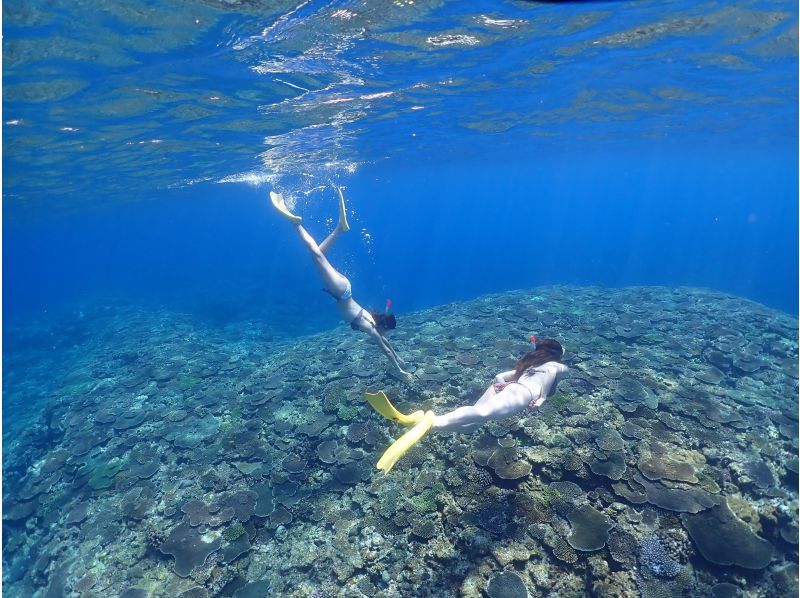 [오키나와북부 스킨다이빙/ 素潜り] 구명 조끼 착용스노클링그럼 아쉬운 당신에게!の紹介画像