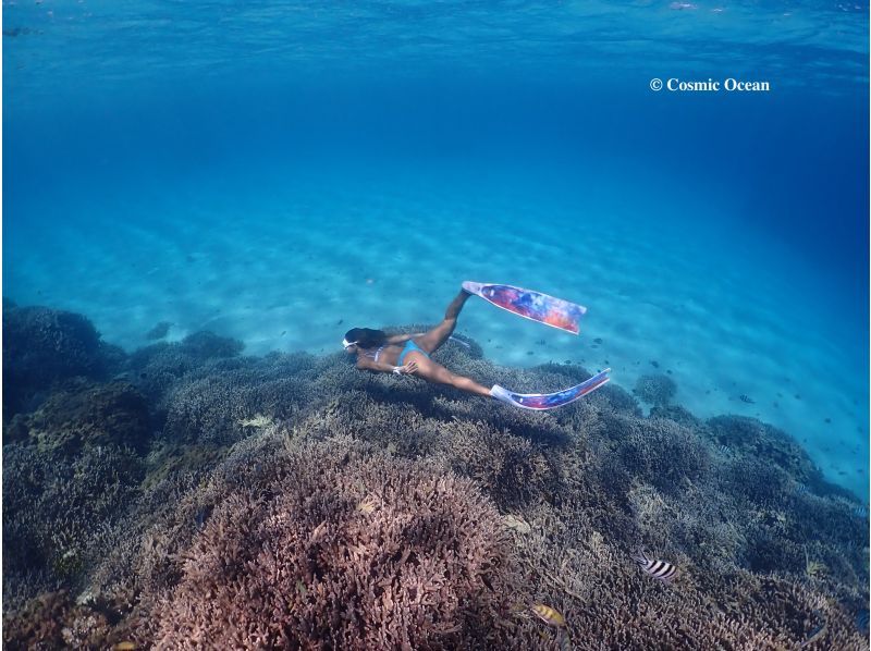 [โอกินาว่าMotobu สำนักงานใหญ่ภาคเหนือ] ยืนขึ้นพาย (ทรัพย์) กับทะเลของแนวปะการังที่สวยงามการดำน้ำตื้น(Snorkeling)ดีที่!の紹介画像