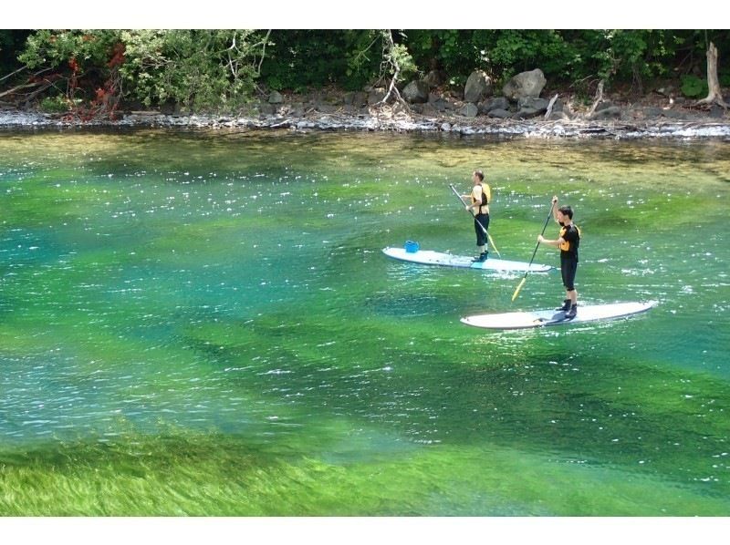 支笏湖リトリートSUP【北海道・札幌・千歳 SUP】水質11年連続日本一支笏湖の湖面をクルージング！SUP体験　ACA・SIJ公認スクールの紹介画像