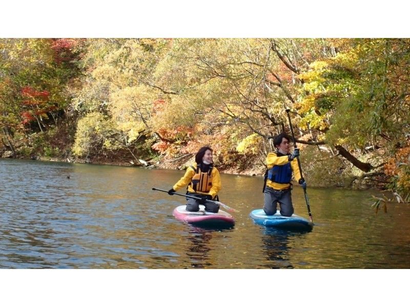 SALE! Autumn Leaves SUP! [Hokkaido, Sapporo, Chitose SUP] Cruising the surface of Lake Shikotsu, the best water quality in Japan for 11 consecutive years! SUP experience SIJ certified schoolの紹介画像