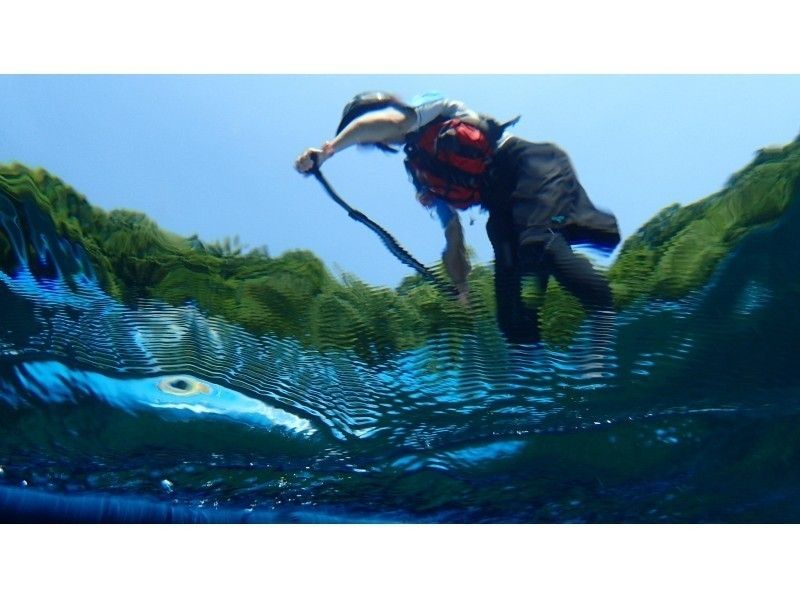 【北海道・札幌　SUP】水質11年連続日本一支笏湖の湖面をクルージング！SUP体験（半日コース）SIJ公認スクールの紹介画像