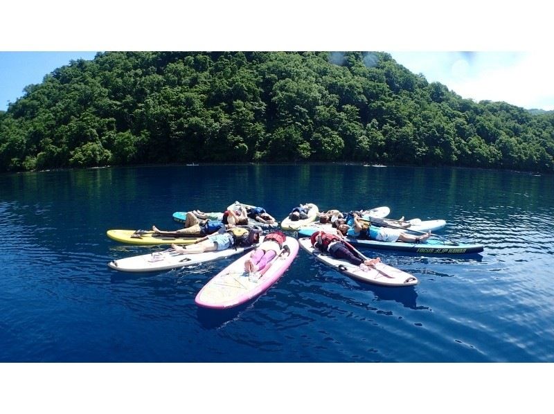 【北海道・札幌　SUP】水質11年連続日本一支笏湖の湖面をクルージング！SUP体験（半日コース）SIJ公認スクールの紹介画像