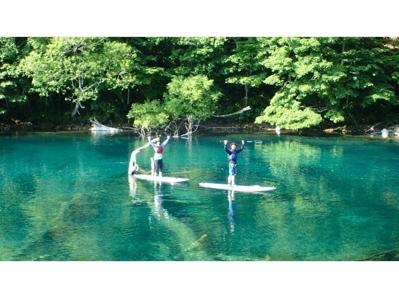 支笏湖リトリートSUP【北海道・札幌・千歳 SUP】水質11年連続日本一支笏湖の湖面をクルージング！SUP体験　ACA・SIJ公認スクールの紹介画像