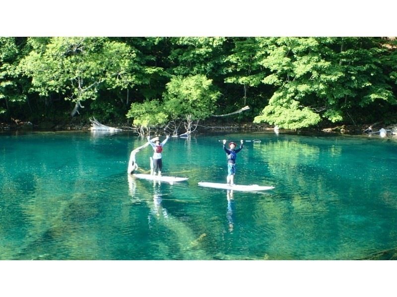 SALE!【北海道・札幌・千歳　SUP】水質11年連続日本一支笏湖の湖面をクルージング！SUP体験　SIJ公認スクールの紹介画像