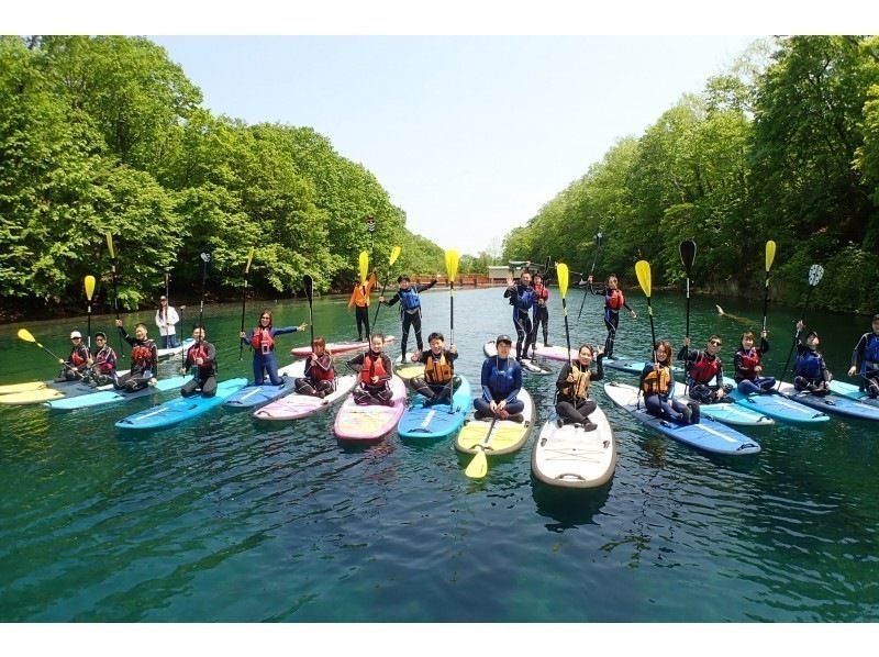 【北海道・札幌　SUP】水質11年連続日本一支笏湖の湖面をクルージング！SUP体験（半日コース）SIJ公認スクールの紹介画像
