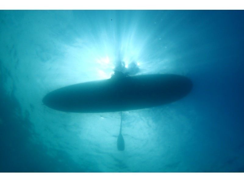 시코쓰호 단풍 리트리트 SUP【홋카이도・삿포로・치토세 SUP】수질 11년 연속 일본 제일 시코쓰호를 크루징! 사진 선물! ACA・SIJ 공인 스쿨の紹介画像