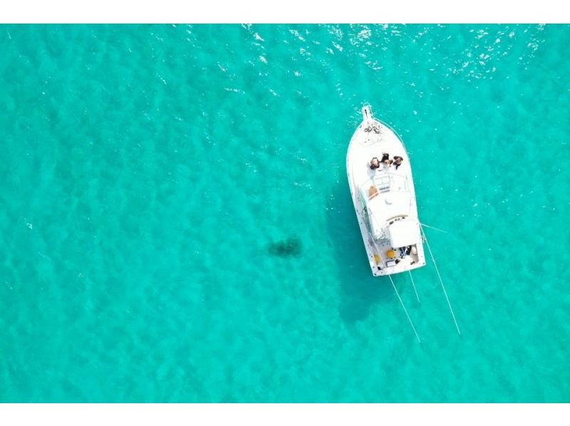[Okinawa Miyakojima] boat charter plan cruising snorkel etc.の紹介画像