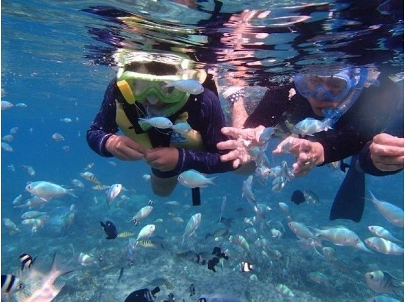 [沖縄·Bise]一套是有限的！皮艇＆浮潛經驗（120分鐘）の紹介画像